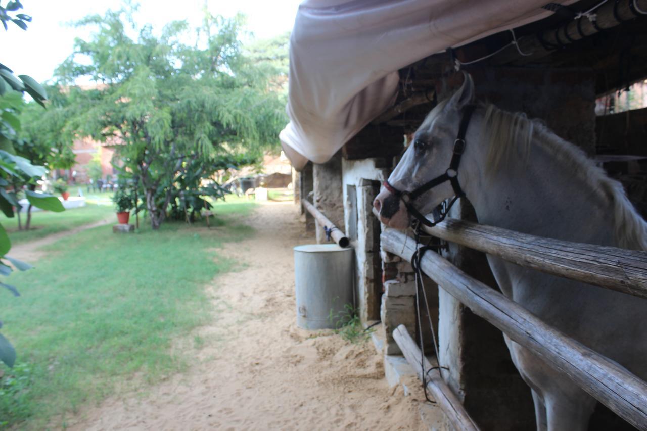Shannu'S Ranch Inn Pushkar Eksteriør billede