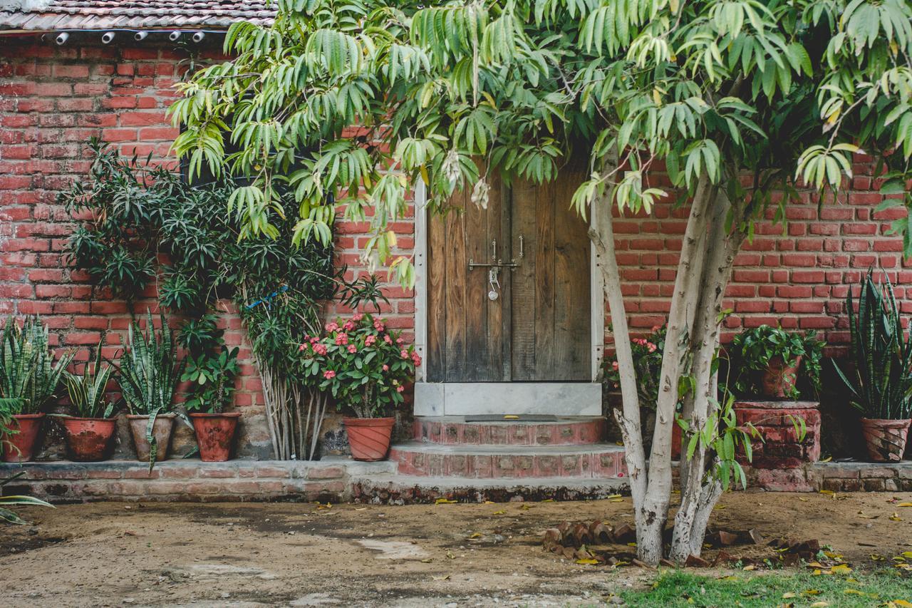 Shannu'S Ranch Inn Pushkar Eksteriør billede